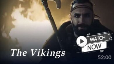 The Vikings